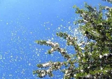 1586785325578013223.jpg 28762DCE084AF15CDFD358D8E4B38C86.jpg