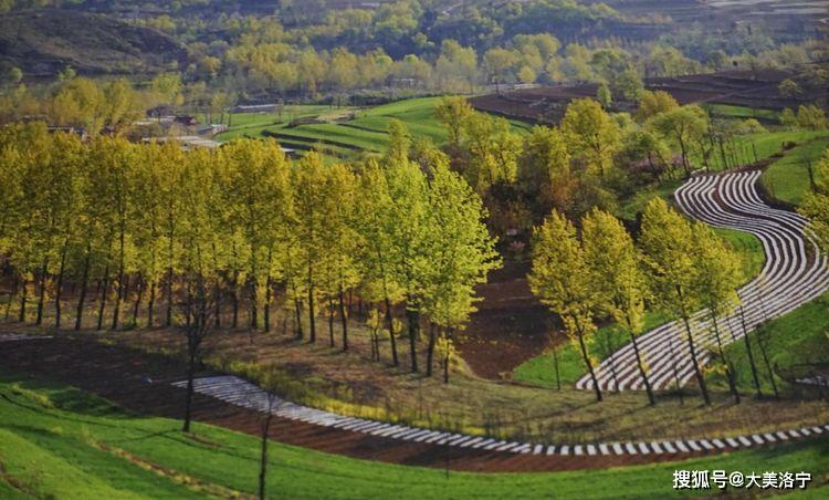 洛阳巴图:春暖花开洛宁行之一——油画田园,下峪印象(图5)