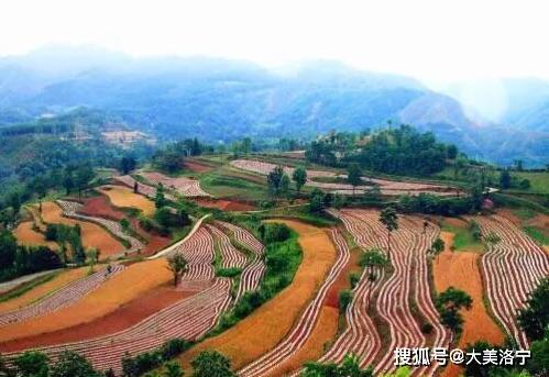洛阳巴图:春暖花开洛宁行之一——油画田园,下峪印象(图6)