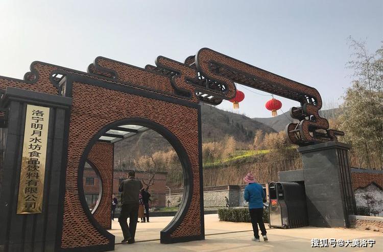 洛阳巴图:春暖花开洛宁行之一——油画田园,下峪印象(图20)