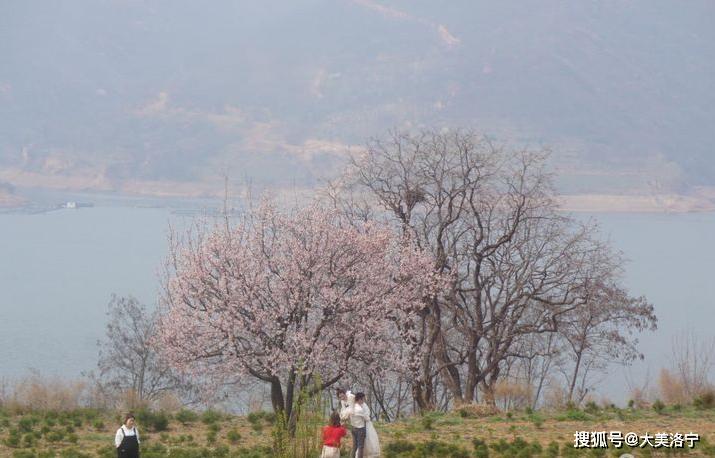 洛阳巴图:春暖花开洛宁行之一——油画田园,下峪印象(图43)