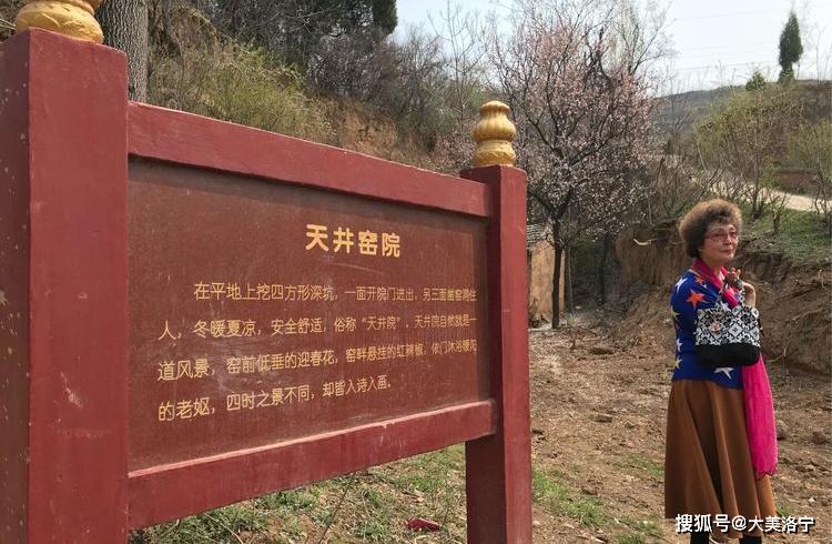 洛阳巴图:春暖花开洛宁行之一——油画田园,下峪印象(图45)