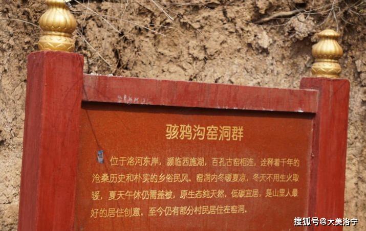 洛阳巴图:春暖花开洛宁行之一——油画田园,下峪印象(图47)