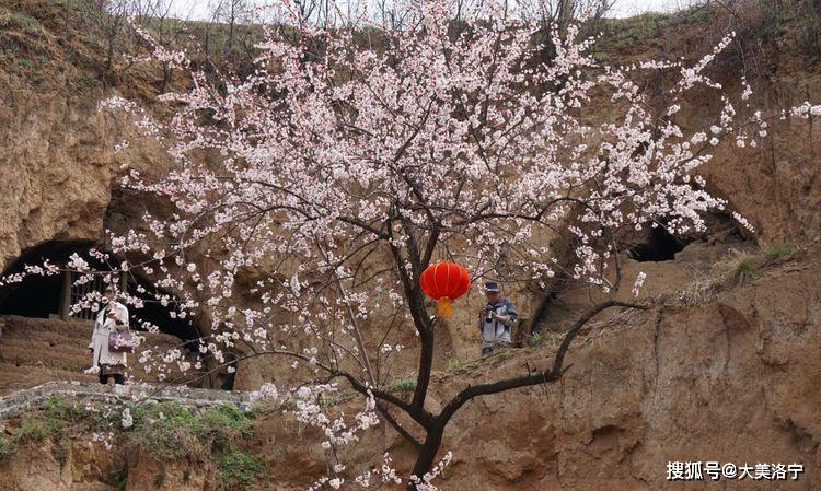 洛阳巴图:春暖花开洛宁行之一——油画田园,下峪印象(图66)