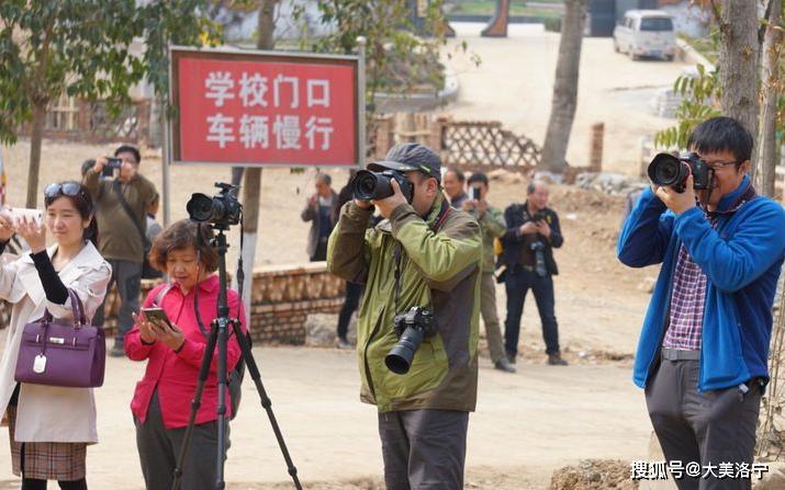 洛阳巴图:春暖花开洛宁行之一——油画田园,下峪印象(图87)