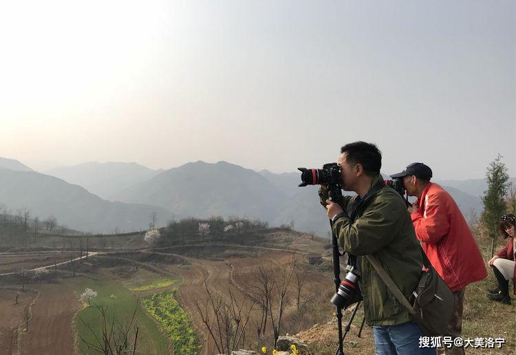 洛阳巴图:春暖花开洛宁行之一——油画田园,下峪印象(图91)