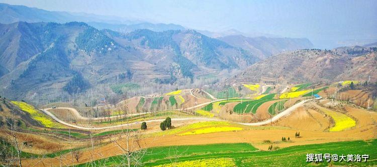 洛阳巴图:春暖花开洛宁行之一——油画田园,下峪印象(图92)