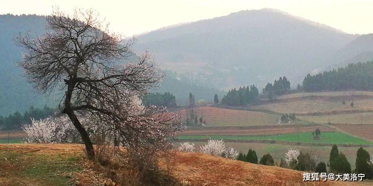 洛阳巴图:春暖花开洛宁行之一——油画田园,下峪印象(图93)