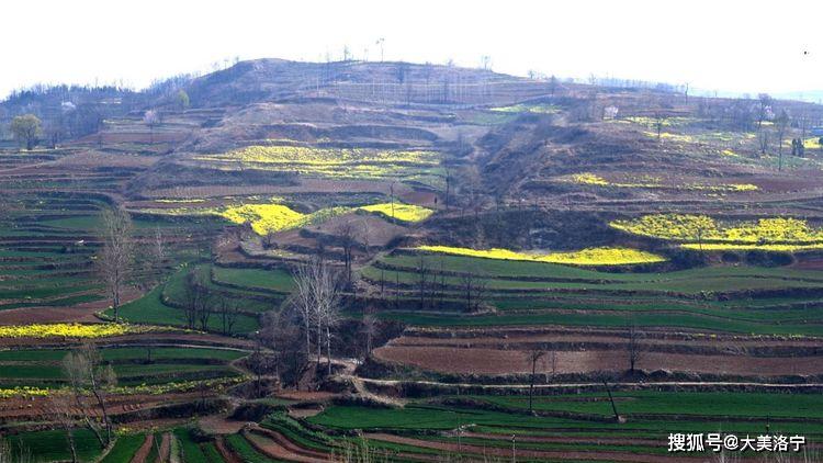 洛阳巴图:春暖花开洛宁行之一——油画田园,下峪印象(图96)