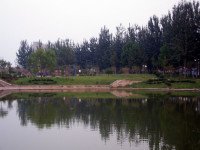布建忠(小布丁) : 济南名山 药山(图4)