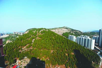 布建忠(小布丁) : 济南名山 药山