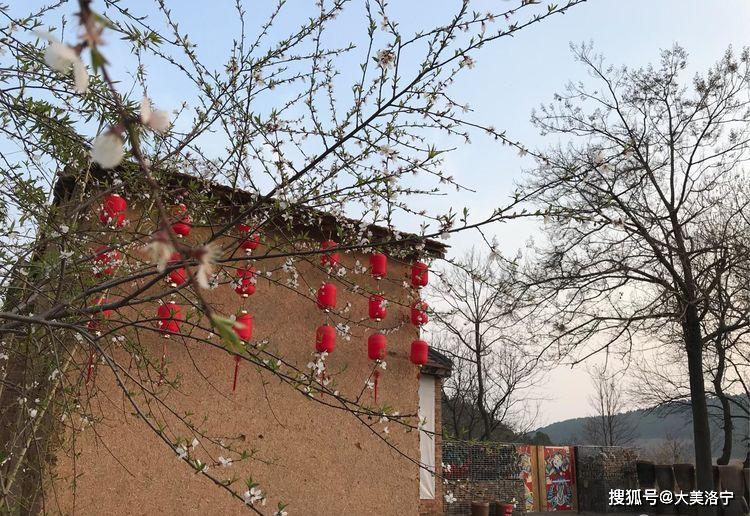 洛阳巴图:春暖花开洛宁行之二——春到爱和小镇(图17)