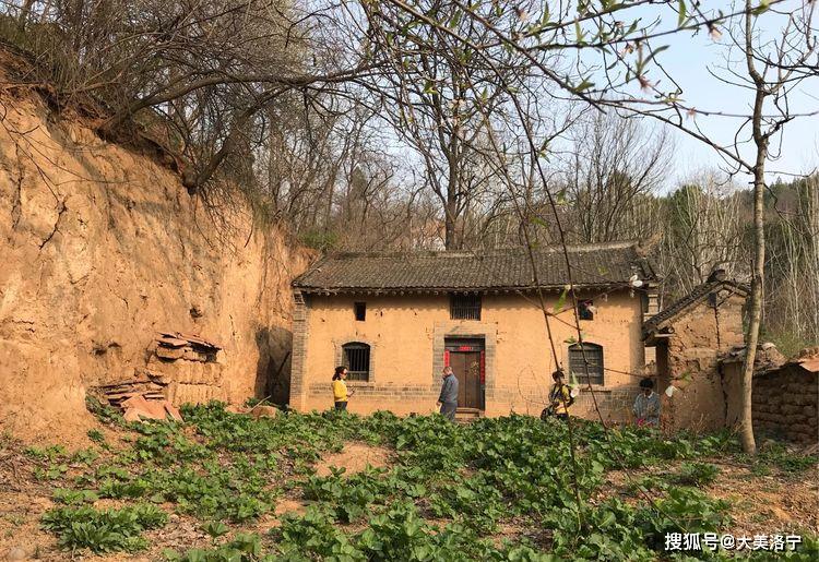 洛阳巴图:春暖花开洛宁行之二——春到爱和小镇(图26)
