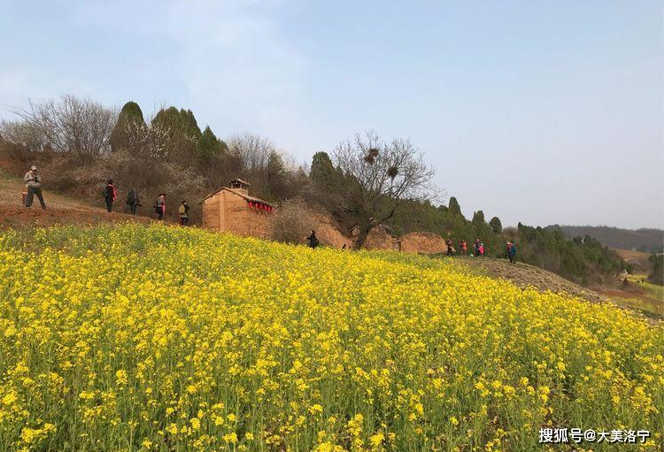 洛阳巴图:春暖花开洛宁行之二——春到爱和小镇(图38)