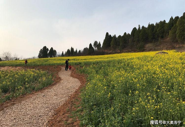 洛阳巴图:春暖花开洛宁行之二——春到爱和小镇(图39)