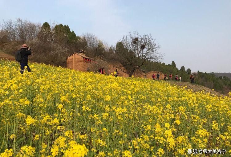 洛阳巴图:春暖花开洛宁行之二——春到爱和小镇(图40)