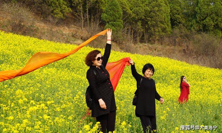 洛阳巴图:春暖花开洛宁行之二——春到爱和小镇(图55)