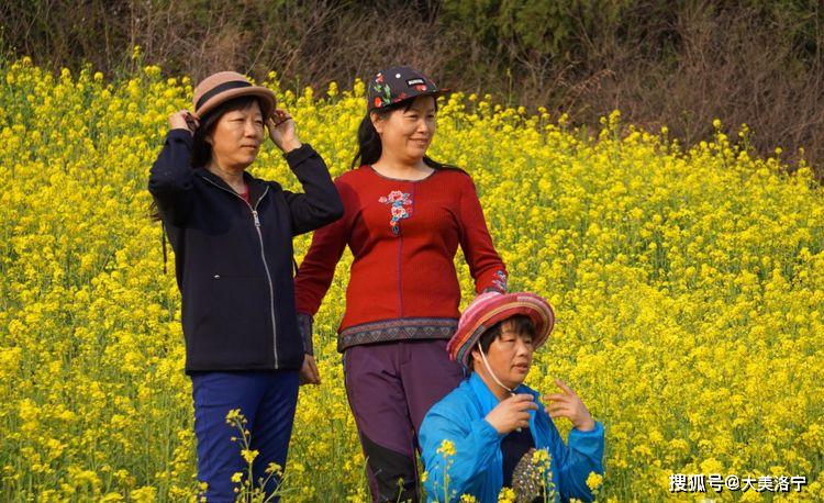 洛阳巴图:春暖花开洛宁行之二——春到爱和小镇(图56)