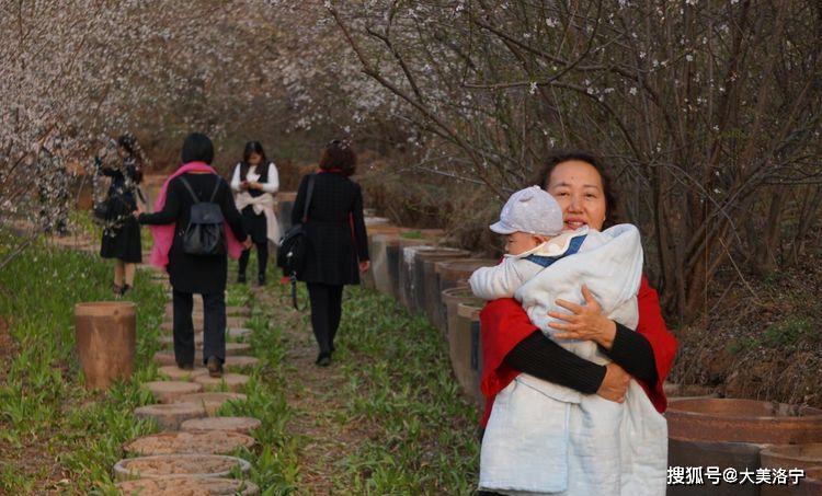 洛阳巴图:春暖花开洛宁行之二——春到爱和小镇(图69)