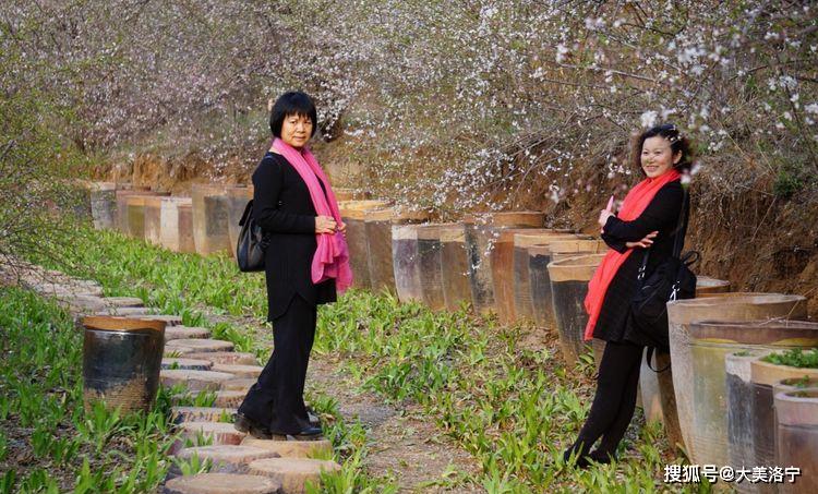 洛阳巴图:春暖花开洛宁行之二——春到爱和小镇(图70)