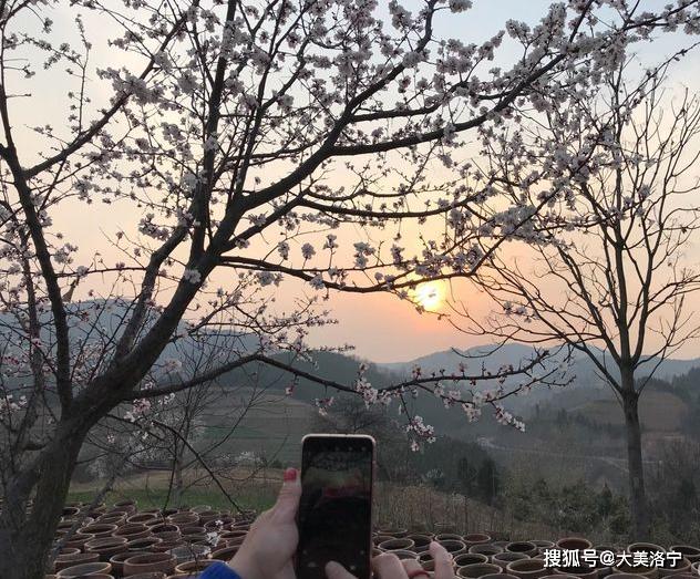 洛阳巴图:春暖花开洛宁行之二——春到爱和小镇(图78)