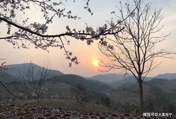 洛阳巴图:春暖花开洛宁行之二——春到爱和小镇(图79)