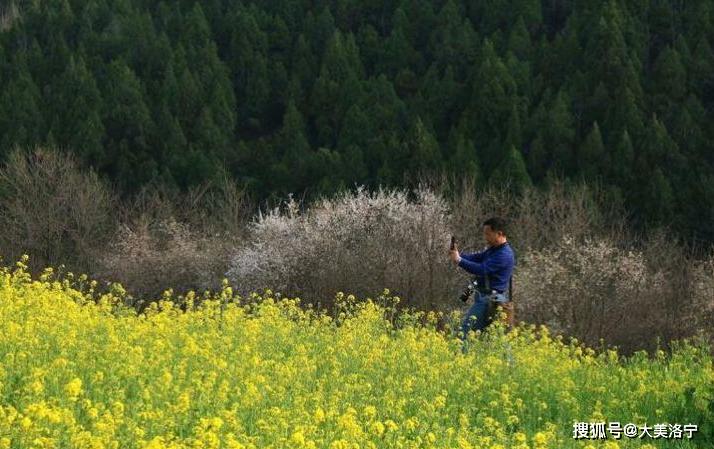 洛阳巴图:春暖花开洛宁行之二——春到爱和小镇(图85)