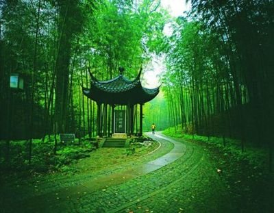 张荣才：七律•杭州云栖竹径（图4）