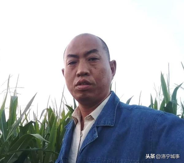 河南洛宁张红歌——张氏族谱序