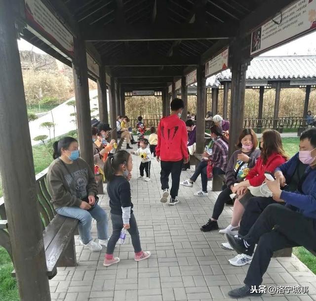 河南宜阳王信功——春游赵老屯