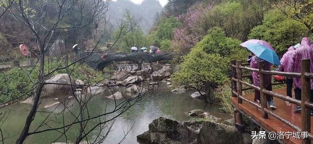 河南洛阳刘艳红——雨游天河大峽谷