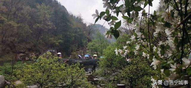 河南洛阳刘艳红——雨游天河大峽谷