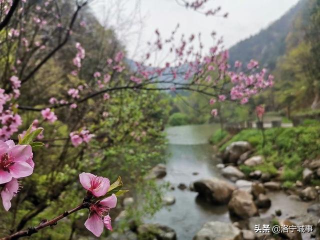 河南洛阳刘艳红——雨游天河大峽谷