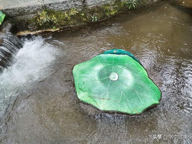 河南洛阳刘艳红——雨游天河大峽谷