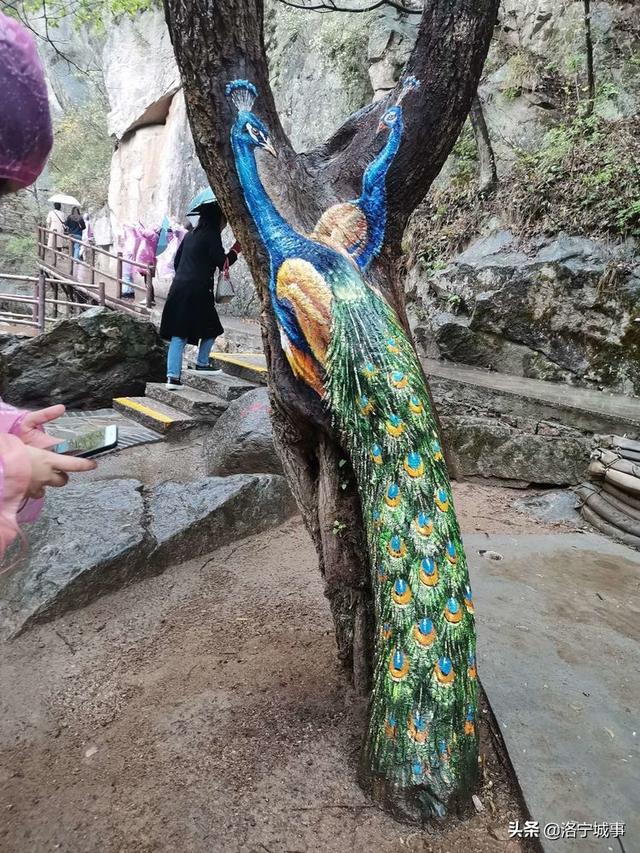 河南洛阳刘艳红——雨游天河大峽谷