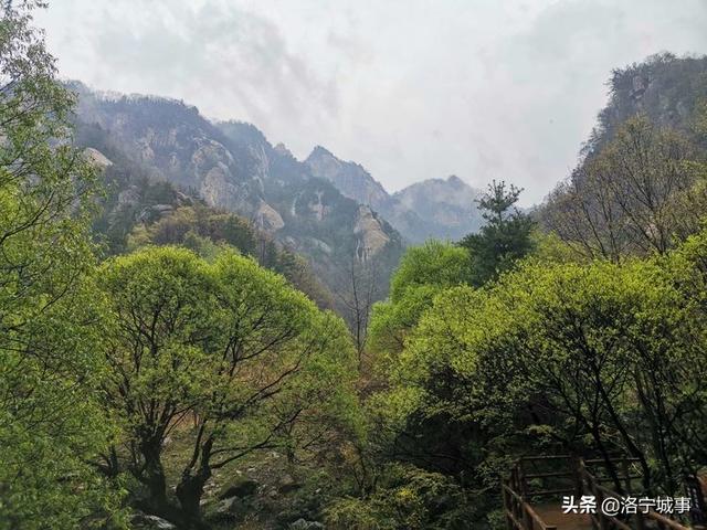 河南洛阳刘艳红——雨游天河大峽谷