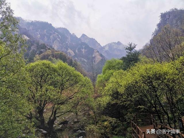 河南洛阳刘艳红——雨游天河大峽谷