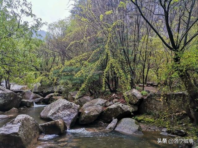 河南洛阳刘艳红——雨游天河大峽谷