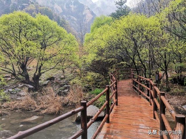 河南洛阳刘艳红——雨游天河大峽谷