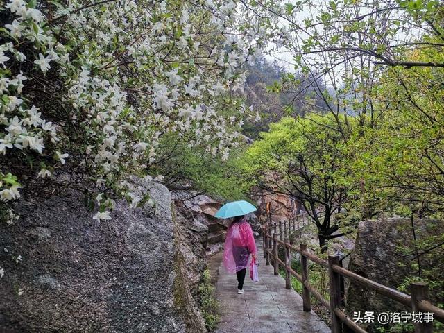 河南洛阳刘艳红——雨游天河大峽谷