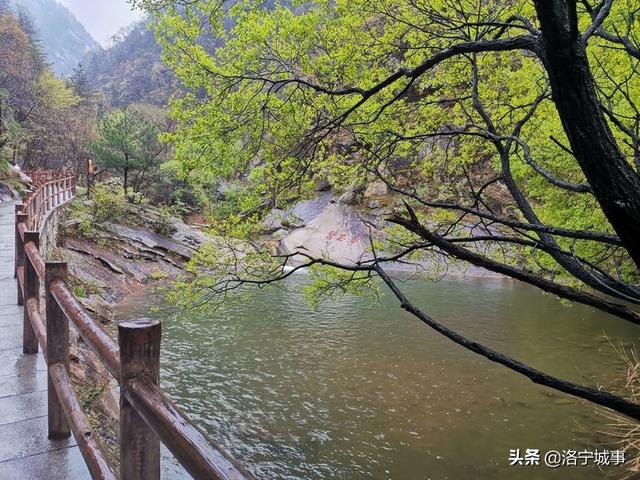 河南洛阳刘艳红——雨游天河大峽谷