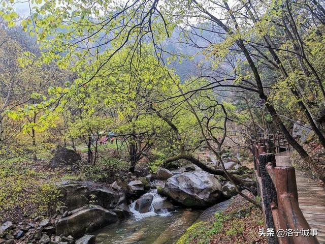 河南洛阳刘艳红——雨游天河大峽谷