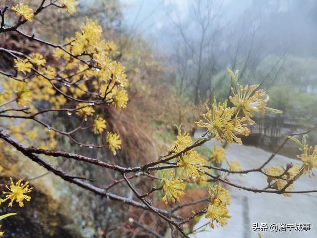 河南洛阳刘艳红——雨游天河大峽谷
