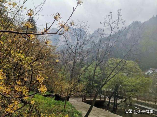 河南洛阳刘艳红——雨游天河大峽谷