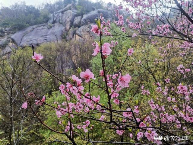 河南洛阳刘艳红——雨游天河大峽谷