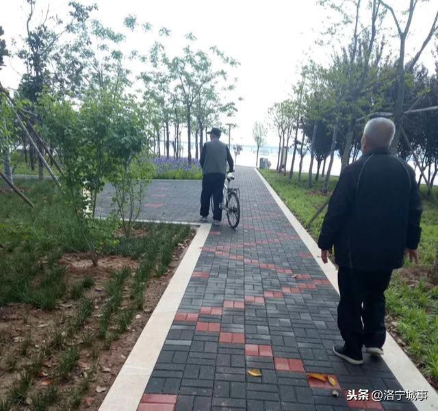 河南洛宁张便玲——滨河公园好去处