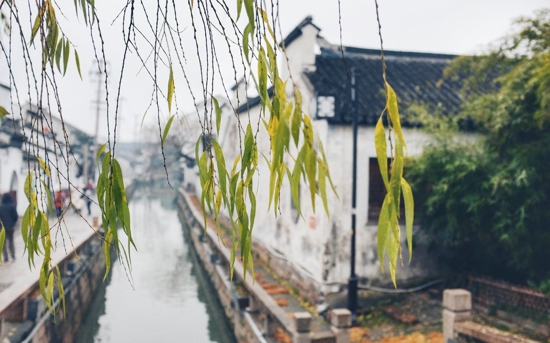 许久香: 南 方 奇 遇(图4)