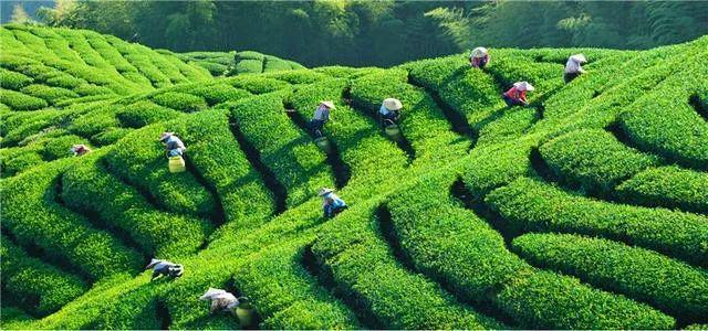 白景添：家乡糯米菜馅糍（外二十九首）（图2）