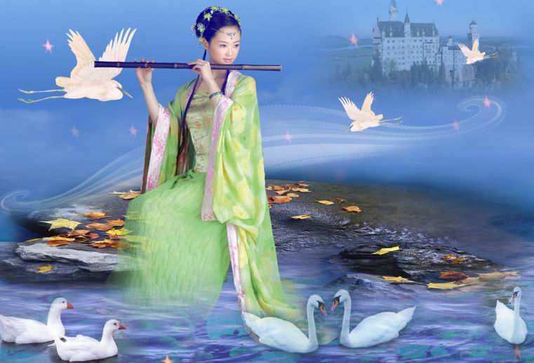 雨菡:蝴蝶忽然满枝头(外十一首)(图2)