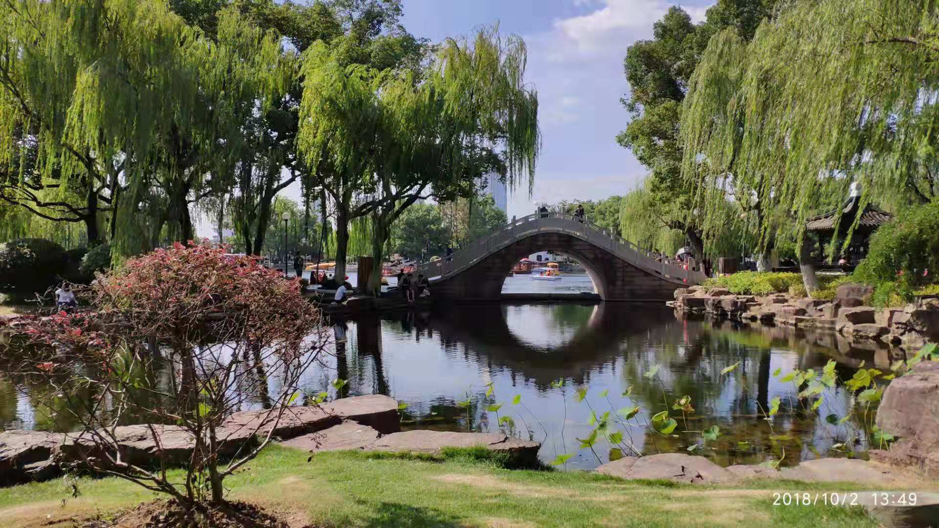 雨菡:蝴蝶忽然满枝头(外十一首)(图9)